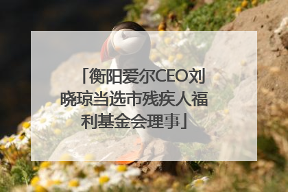 衡阳爱尔CEO刘晓琼当选市残疾人福利基金会理事