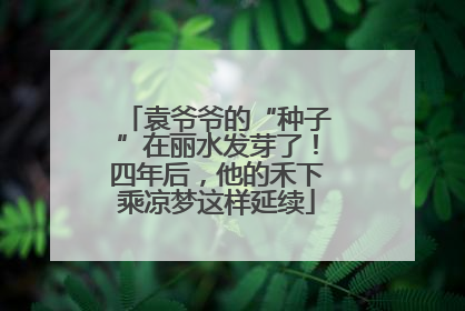 袁爷爷的“种子”在丽水发芽了！四年后，他的禾下乘凉梦这样延续