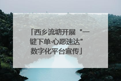西乡流塘开展“一键下单·心愿速达”数字化平台宣传