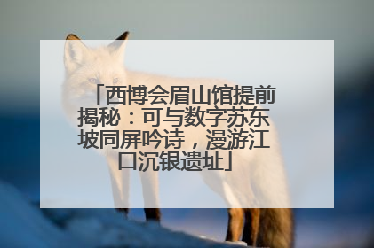 西博会眉山馆提前揭秘：可与数字苏东坡同屏吟诗，漫游江口沉银遗址