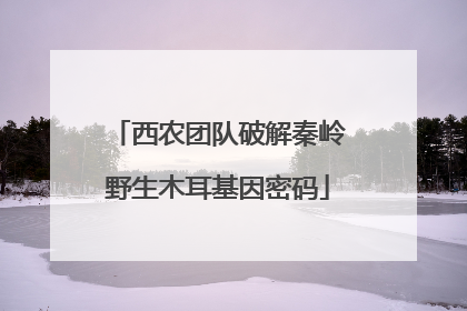 西农团队破解秦岭野生木耳基因密码