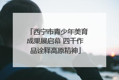 西宁市青少年美育成果展启幕 四千作品诠释高原精神