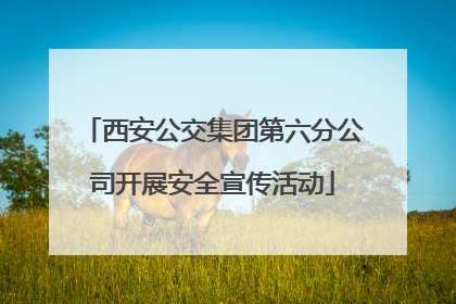 西安公交集团第六分公司开展安全宣传活动