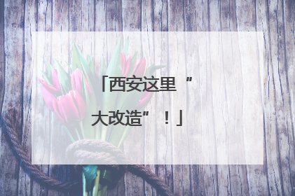 西安这里“大改造”！