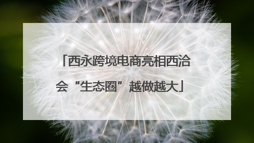 西永跨境电商亮相西洽会“生态圈”越做越大