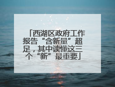 西湖区政府工作报告“含新量”超足，其中读懂这三个“新”最重要