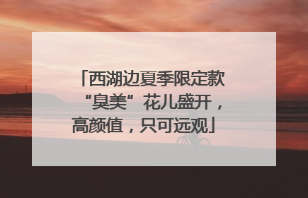 西湖边夏季限定款“臭美”花儿盛开，高颜值，只可远观