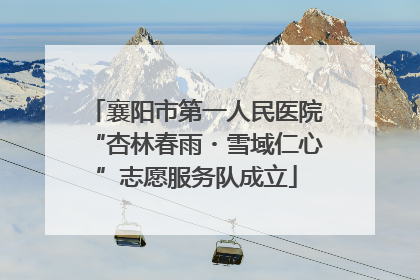 襄阳市第一人民医院“杏林春雨・雪域仁心”志愿服务队成立