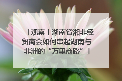 观察丨湖南省湘非经贸商会如何串起湖南与非洲的“万里商路”