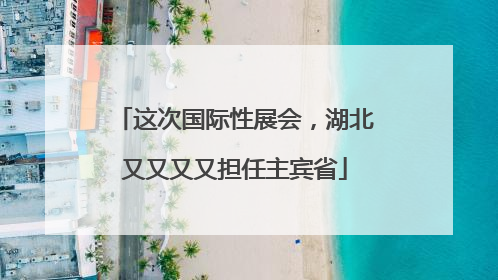 这次国际性展会，湖北又又又又担任主宾省