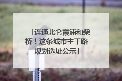 连通北仑霞浦和柴桥！这条城市主干路规划选址公示