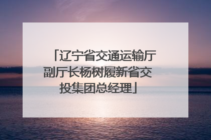 辽宁省交通运输厅副厅长杨树履新省交投集团总经理