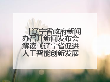 辽宁省政府新闻办召开新闻发布会解读《辽宁省促进人工智能创新发展实施方案》