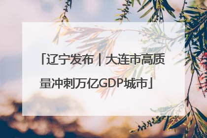 辽宁发布｜大连市高质量冲刺万亿GDP城市
