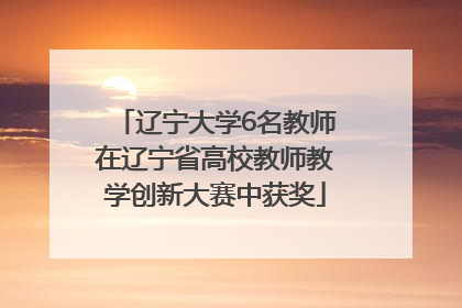 辽宁大学6名教师在辽宁省高校教师教学创新大赛中获奖