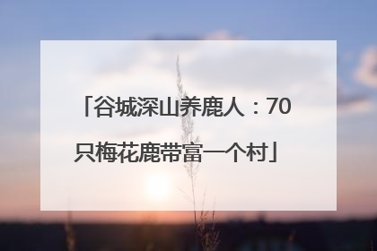谷城深山养鹿人：70只梅花鹿带富一个村