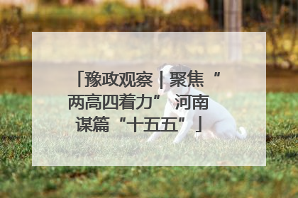 豫政观察｜聚焦“两高四着力” 河南谋篇“十五五”
