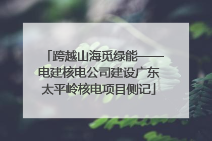 跨越山海觅绿能——电建核电公司建设广东太平岭核电项目侧记