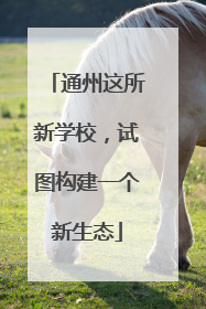 通州这所新学校，试图构建一个新生态