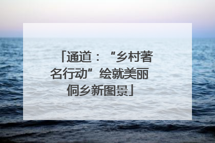 通道：“乡村著名行动”绘就美丽侗乡新图景