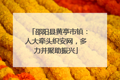 邵阳县黄亭市镇：人大牵头织安网，多力并聚助振兴