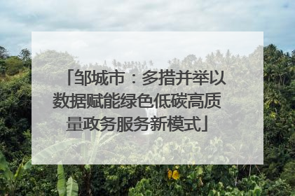 邹城市：多措并举以数据赋能绿色低碳高质量政务服务新模式