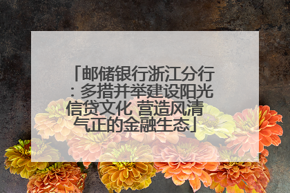 邮储银行浙江分行：多措并举建设阳光信贷文化 营造风清气正的金融生态