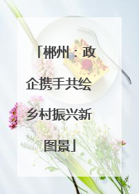 郴州：政企携手共绘乡村振兴新图景