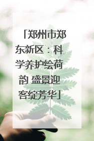 郑州市郑东新区：科学养护绘荷韵 盛景迎客绽芳华