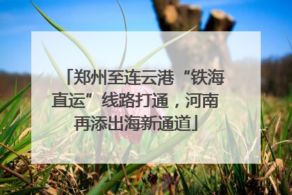 郑州至连云港“铁海直运”线路打通，河南再添出海新通道