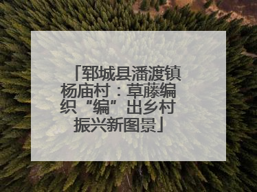 郓城县潘渡镇杨庙村：草藤编织“编”出乡村振兴新图景