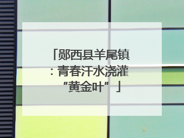 郧西县羊尾镇：青春汗水浇灌“黄金叶”