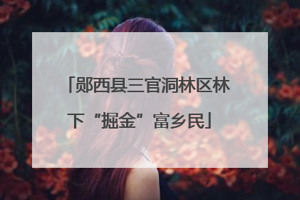 郧西县三官洞林区林下“掘金”富乡民