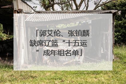 郭艾伦、张镇麟缺席辽篮“十五运”成年组名单