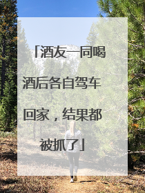 酒友一同喝酒后各自驾车回家，结果都被抓了