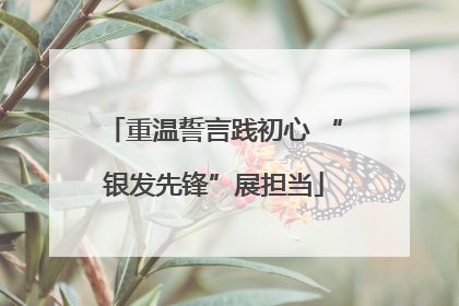 重温誓言践初心 “银发先锋”展担当