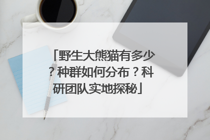 野生大熊猫有多少？种群如何分布？科研团队实地探秘