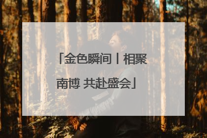 金色瞬间丨相聚南博 共赴盛会