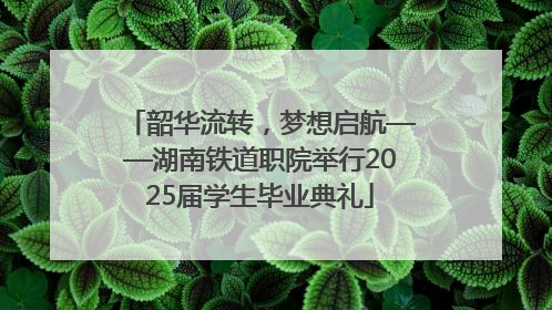 韶华流转，梦想启航——湖南铁道职院举行2025届学生毕业典礼