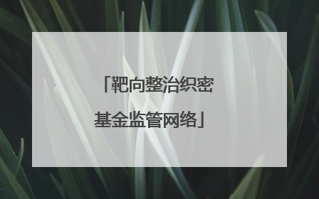 靶向整治织密基金监管网络