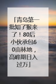 青岛第一批知了猴来了！80后小伙承包60亩林地，高峰期日入过万