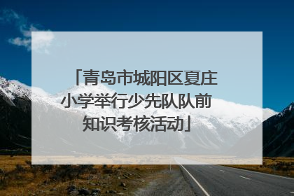 青岛市城阳区夏庄小学举行少先队队前知识考核活动