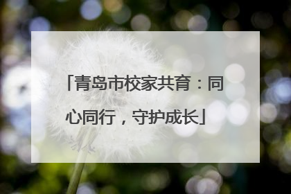 青岛市校家共育：同心同行，守护成长