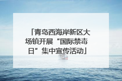 青岛西海岸新区大场镇开展“国际禁毒日”集中宣传活动