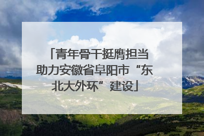 青年骨干挺膺担当 助力安徽省阜阳市“东北大外环”建设