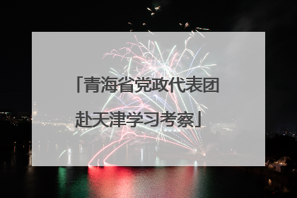 青海省党政代表团赴天津学习考察