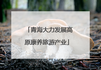 青海大力发展高原康养旅游产业