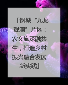 钢城“九龙观澜”片区：农文旅深融共生，打造乡村振兴融合发展新实践