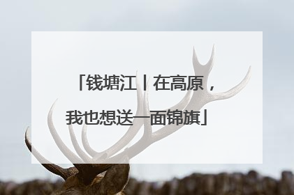 钱塘江丨在高原，我也想送一面锦旗