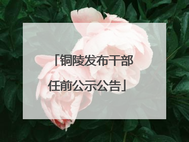 铜陵发布干部任前公示公告